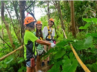 沖縄の大自然が職場！
バギーで森を駆け抜けるアドベンチャーツアーをお客様と一緒に楽しもう♪