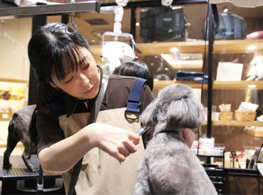 神戸ベイシェラトン ホテル＆タワーズ　SHERATON DOG 世界の「シェラトン」ブランド！
安定＆安心感を兼ね揃えた環境でもっと丁寧に活かしませんか？
一頭一頭に向き合えるのも◎