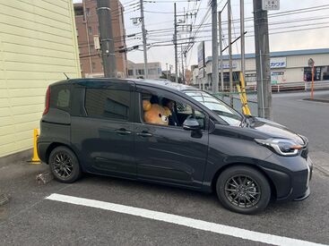 れもん在宅クリニック デイサービスの運転/車両管理スタッフ♪基本は周辺エリアのみの運転なので、未経験や道が詳しくなくても安心！