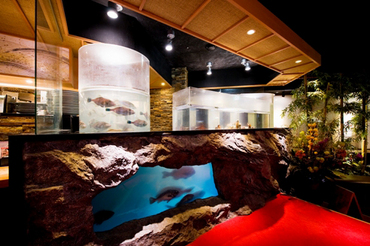 自慢の大型いけすに獲れたて活魚がズラリ★
鮮度抜群の海の幸をじっくり味わえるお店です◎スタッフはお得な社割も使えちゃう♪