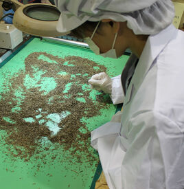 株式会社ミタカ スタッフは幅広い年代がそろっており、
あたたかく和やかな雰囲気の中、いつも笑顔があふれる工房です。