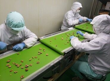 株式会社ドリーム・フーズ　DREAM BASE工場 小さな異物を見つけたときは、まるで宝探しのような達成感♪
コツコツ作業が好きな方なら、楽しみながら活躍できるお仕事です。