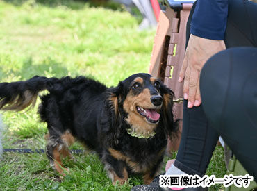 ワンちゃんと飼い主さんが
心地よく過ごせるよう
ドッグランや共用部の
清掃・メンテナンスも行います◎