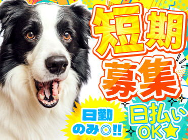 株式会社平山 帯広営業所 ＼12月までの短期募集／高時給1500円★
年末年始はゆっくりしたい方にもオススメです！