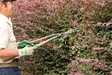 当社は有名サッカーチーム・野球チームのスポンサーをしています◎
観戦チケットが福利厚生で無料に！