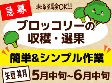 有限会社I Loveファームおだか ＜未経験歓迎★＞
簡単&単純作業です◎
作業手順は丁寧にお教えするので
ご安心ください♪