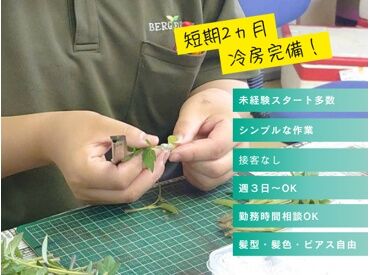接ぎ木作業は空調が効いた快適な室内でのデスクワークです！
ご希望のお仕事は面接時にお教えください◎