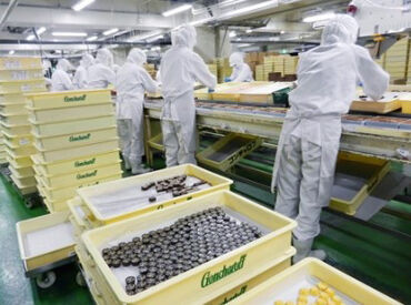 ゴンチャロフ製菓株式会社　御影工場 人とお話しする作業はほとんどありません！
マスク・帽子を着用するので、髪色・髪型などは基本自由◎
