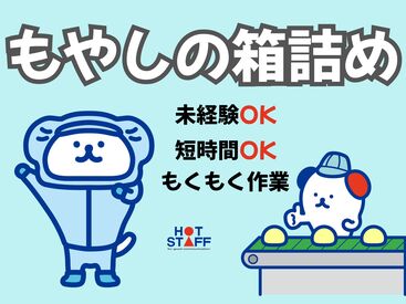 株式会社ホットスタッフ長崎　求人コード：251103820018  大村での勤務
大村エリアで安定的に勤務したい方には最適♪♪