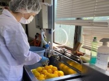 ヤマキ農園 ＜未経験大歓迎！＞
経験は問いません◎
年齢・性別問わず皆さん活躍できます♪