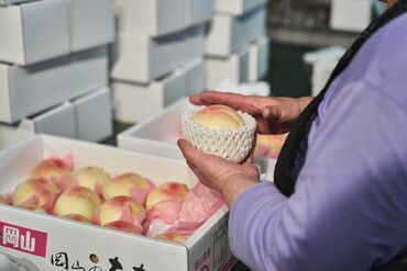 <<<主婦さん活躍中のお仕事>>>
学生さん～主婦(夫)さん/Wワーカーさん
中高年・シニア世代の方まで大歓迎♪