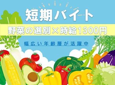 ビジネットグループ株式会社北見営業所 ＼野菜の選別作業をお任せ／
時間に余裕ができた主婦(夫)さんや、学校と両立したい学生さんにも◎