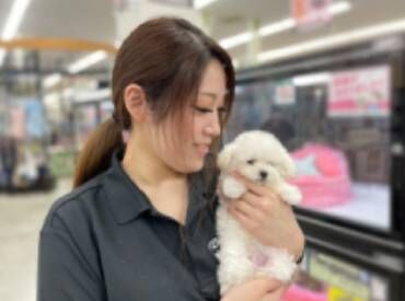 株式会社エイル　和泉府中店 