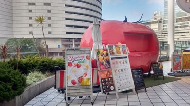 株式会社OG　渋谷エリア お客様との会話や「ありがとう」が
やりがいになるお仕事です。
未経験・Wワーク歓迎！
お昼の4時間で楽しく働きませんか？
