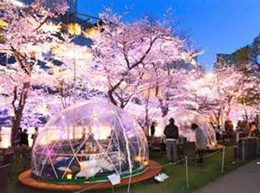 最高級ホテルでバイトデビュー♪
未経験&初バイトもOK!