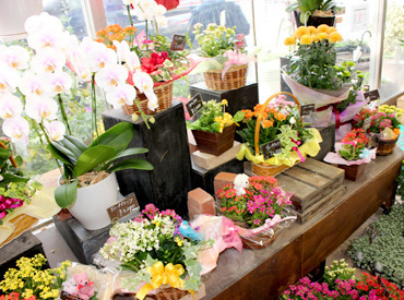 磯部百花園 徳川店 20代・30代のスタッフが活躍中！
お花に触れる仕事なので
気分も晴れやかにお仕事できます♪