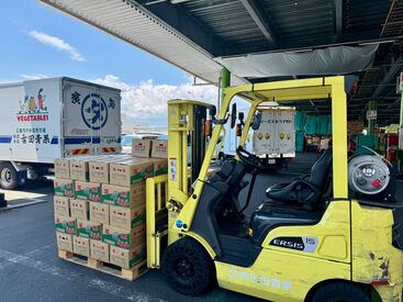 以前は
サービス業、軽作業、製造、ドライバー、など
様々な業界出身のスタッフが活躍しています。
事業好調につき募集します！