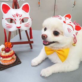 長く安定して働きたい方にオススメ!あなたの生活やペースに合わせて、安心してスタートできます★