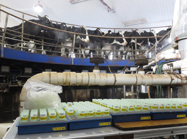 パートorフルタイムの働き方は、入社後にも変更可能です◎
働きながらピッタリの勤務スタイルを見つけましょう☆