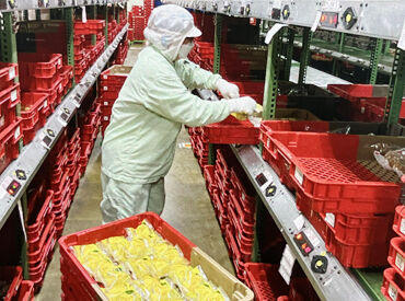 ＼快適な環境の工場です★／
冷暖房完備なので、工場内はいつも20℃前後◎
夏も冬も快適かつキレイな食品工場です！