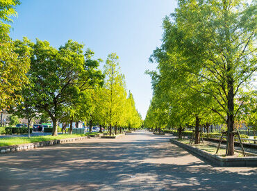 都立舎人公園内 舎人公園サービスセンター 自然が好きな方は必見＊
季節の植物や水辺を楽しみながら心地よく働けます！