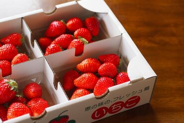 コツコツ作業したい方にピッタリのお仕事です!スタッフのほとんどが未経験スタートです★