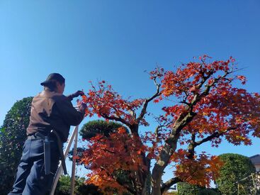 接客ナシ★
知識やスキル不要で誰でもできるお仕事！
体を動かすことが好きな方や、ガーデニング好きな方にもおすすめ♪