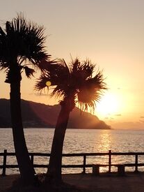 観光客・地元の方に大人気☆
お店の周りは大絶景♪きれいな海
【西の浦イカ活造り　波平】
