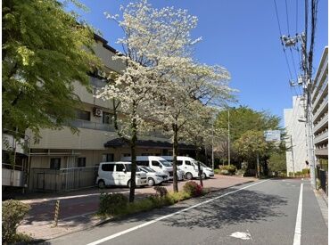 30代中心のスタッフが活躍中★
のんびり穏やかな雰囲気で、ブランクがあってもすぐに馴染める職場です♪