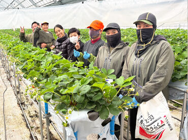 合同会社瀬戸内サラダ ＼「自由さ」が売りの職場です！／
社長もスタッフもとってもフランク♪
自由な職場で新しい一歩を踏み出しませんか？