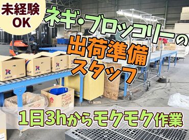 ＪＡ香川県 善通寺集荷場 「自分にできるかな…？」と不安な方は
仕事の確認やご相談だけでも大歓迎◎
お気軽にお問い合わせください！