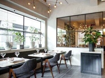 マチュリテは、まるでパリの中庭のような光が差し込む店内◎
美味しい料理やワインを楽しめるお店です♪