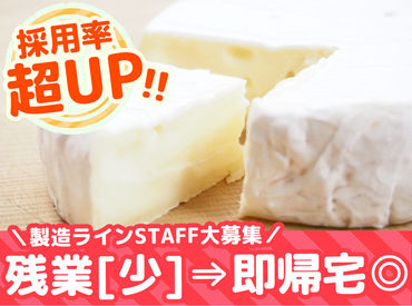 \チーズ好きにおすすめ/
食べるのが好きな方にも◎
製造の経験がある方なら優遇します!