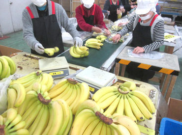 株式会社ファーマインド　名古屋センター 全国に14ヶ所の拠点があり、
スーパーやコンビニに、バナナやキウイなどの
青果物を中心に提供している会社です◎