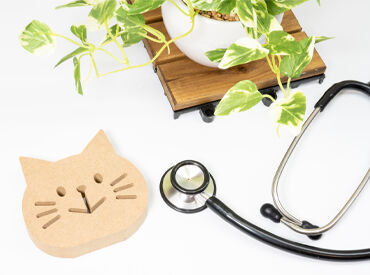 獣医さんの補助や入院動物のお世話が主な業務。
しっかりとした勉強会もあって安心♪