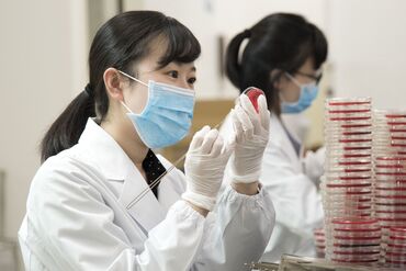株式会社江東微生物研究所 中央研究所つくば [週3日～]×[副業OK]
シフトは自己申告制◎
プライベートに合わせて働けます♪