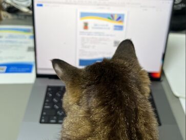 【夜勤一切なし】日勤のみでライフスタイルも崩れません！未経験可！長期で安定的に勤務可能です☆彡
