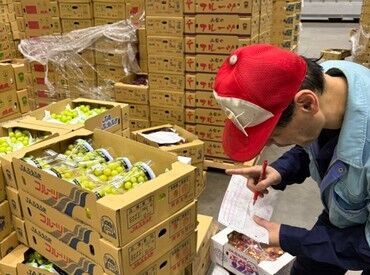 お任せするのは野菜や果物の仕分けなど！
コツコツと集中して働ける環境です♪