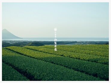 「大丈夫?」「困ったことはない?」と
お互いに声を掛け合いながら業務を進めています!
チームワーク抜群の職場です☆