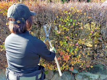 てきぱき動ける仲間がいる職場♪
30代スタッフが多く、未経験でもすぐ馴染める明るい雰囲気です◎