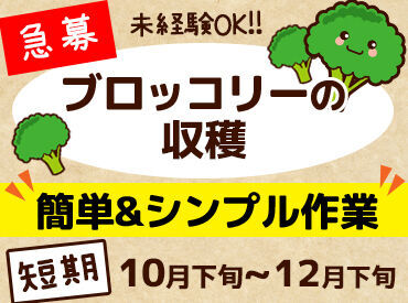 有限会社I Loveファームおだか ＜お仕事カンタン★＞
未経験さんでもスグに慣れる、簡単&単純作業です◎
