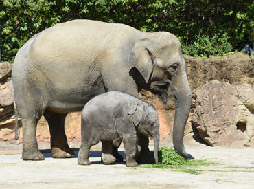 【長期勤務も大歓迎】長期希望もお気軽にご連絡ください♪
短期⇒長期への切り替えもOK!