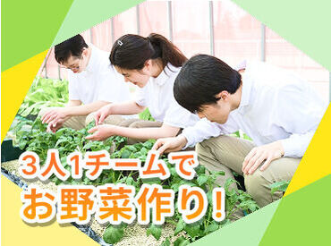 わーくはぴねす農園 船橋ファーム【求人番号13328】 重い機材などは使わず、安全に栽培できる装置を採用しています◎