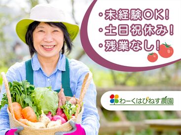 ＼未経験大歓迎♪／
丁寧な研修あり未経験でも安心◎

育児が落ち着いた方が多く活躍中！

仕事復帰の方もぜひご応募ください♪