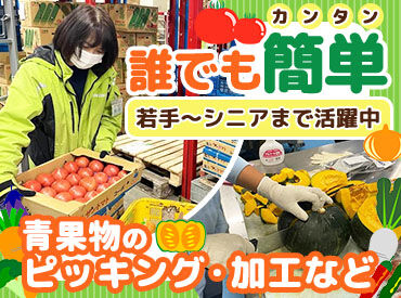 株式会社フジ・アグリフーズ 繰り返しのルーティン作業がメイン★
経験やスキルに関係なく、どなたでも戦力になれるお仕事です！