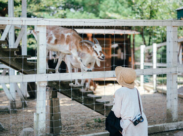 ウマや小動物との触れ合いも行っており、
日々ワクワクしながら働ける環境です☆
自然、動物、遊園地が好きな方にピッタリ♪