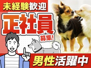 体力に自信のある方、奮って応募ください！