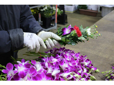 どれも単純な作業なので、
軽作業の経験がない方でも問題なく活躍できます◎