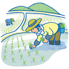 株式会社エムアンドエム 　※勤務地：福岡県柳川市三橋町（米） 服装自由＆動きやすいスタイルでOK♪AM×簡単バイトで未経験、ブランクさんも安心♪