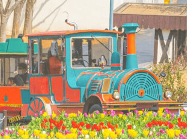 簡単作業が中心で未経験も安心◎
一つひとつできることからお任せ♪
頑張りは昇給などでしっかり還元◎